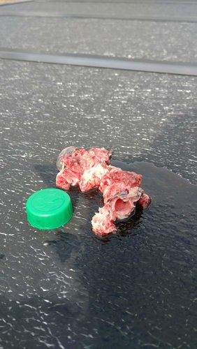 IMG_20161107_110132910.jpg IMG_20161107_110132910.jpg