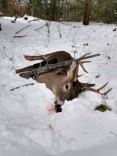 2018 opening day 8 point].jpg