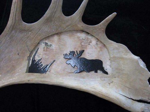 moose_antler_shed.jpg