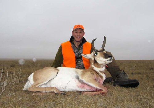 2 87 Antelope.jpg 2 87 Antelope.jpg