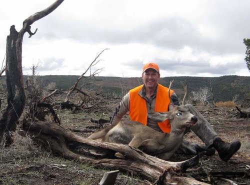 3 61 Mulie.jpg 3 61 Mulie.jpg