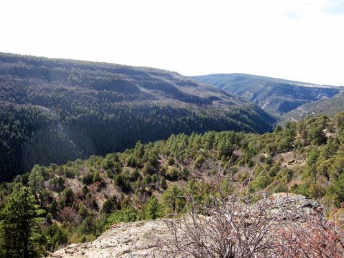 4 61 Scenery 1.jpg 4 61 Scenery 1.jpg