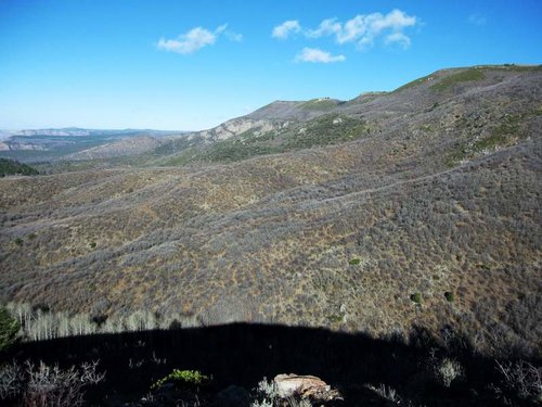 5 61 Scenery 3.jpg 5 61 Scenery 3.jpg