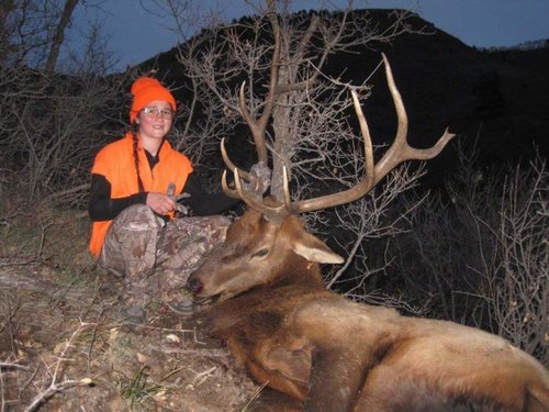 5 Robs Bull.jpg