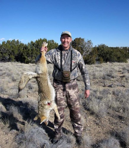 Sheep Coyote.jpg Sheep Coyote.jpg