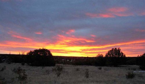 Sheep Sunrise.jpg Sheep Sunrise.jpg