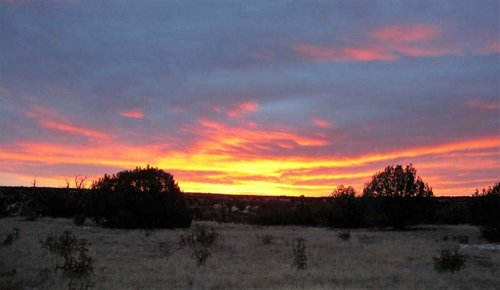 Sheep Sunrise.jpg