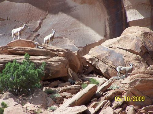 100_0779.jpg 100_0779.jpg