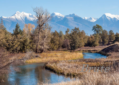 Mission Mt.  Creek  a-4090.jpg