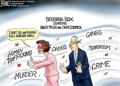 birdbrain-box-dt-600.jpg