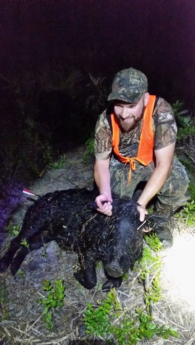 WhatsApp Image 2019-01-25 at 4.06.46 PM.jpeg WhatsApp Image 2019-01-25 at 4.06.46 PM.jpeg