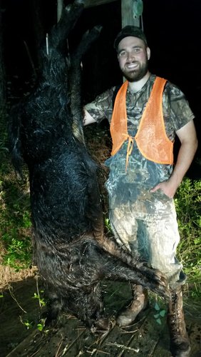 WhatsApp Image 2019-01-25 at 4.06.12 PM.jpeg WhatsApp Image 2019-01-25 at 4.06.12 PM.jpeg