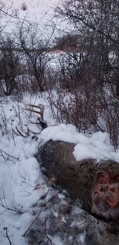 20190104_071732x.jpg