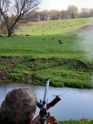 Cheyenne Herd Spring 2006 A.jpg