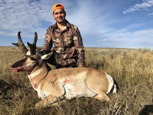 Antelope 2018.jpg Antelope 2018.jpg