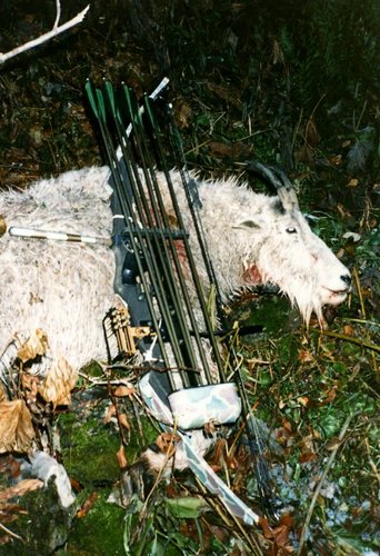 1983 Goat Down.jpg
