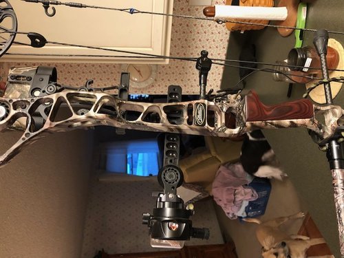 IMG_0708.jpg IMG_0708.jpg