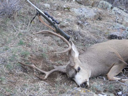 DSCN1123 (1080x810).jpg