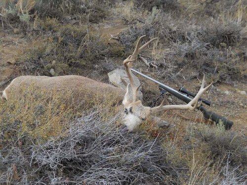 DSCN0562 (2) (1080x810).jpg