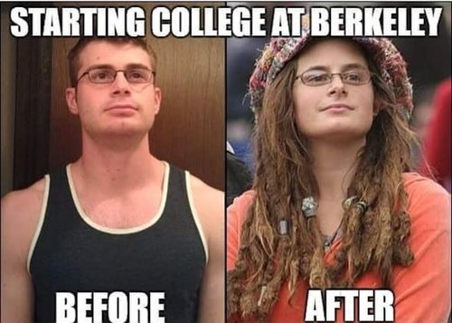 Liberals.jpg