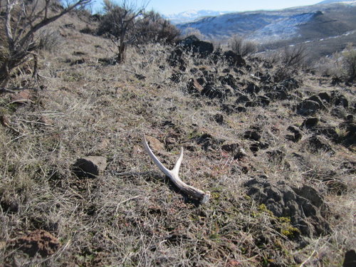 5-IMG_3328.JPG
