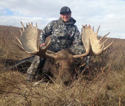 moose 2.jpg moose 2.jpg