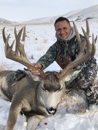2017 Mulie buck pic.jpg 2017 Mulie buck pic.jpg