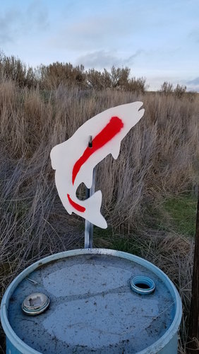 20181227_151727.jpg 20181227_151727.jpg