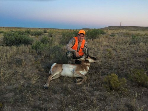 2015  UT  Pronghorn.jpg