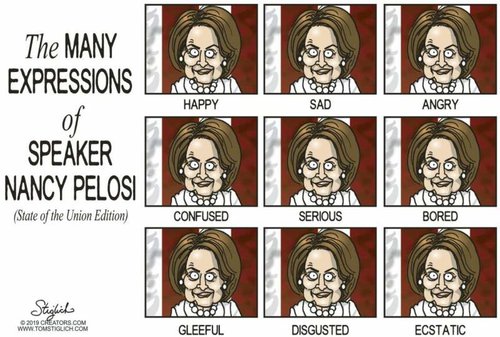 PELOSI.jpg