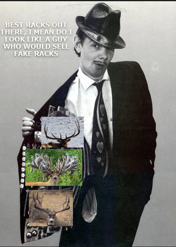 RACKSONROACKS.jpg