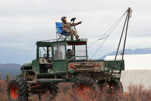 Alaska moose Buggy 1.jpg