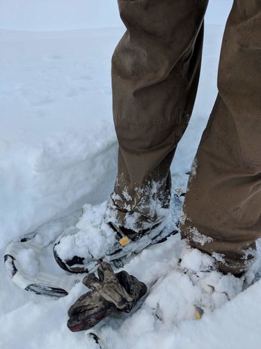 wolfhunt6.jpg wolfhunt6.jpg