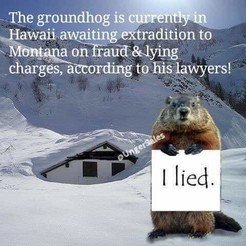 FB_IMG_1551507947428.jpg