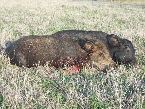 DSCN2211 (1080x810).jpg DSCN2211 (1080x810).jpg