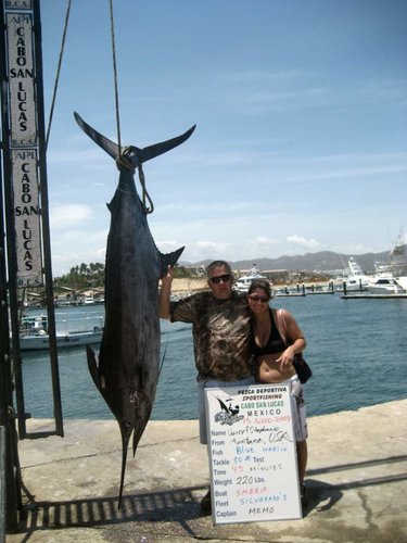 Cabo 2009 113 - 2.jpg