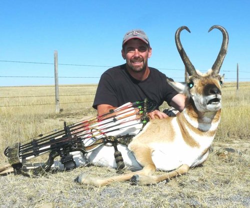 Pronghorn buck2.jpg