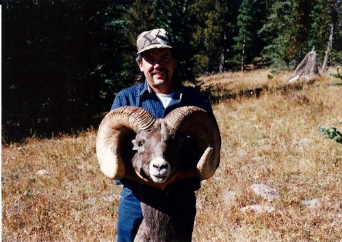 Bighorn1.jpg