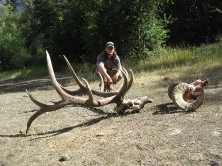 matts ram and elk.jpg