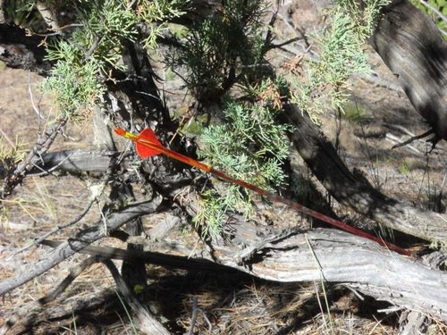 Bloody Arrow.jpg