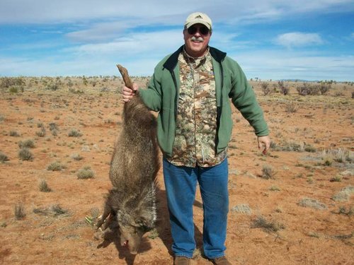 Rick's javelina.jpg