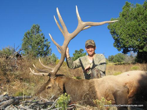 Randy's AZ Bull.jpg