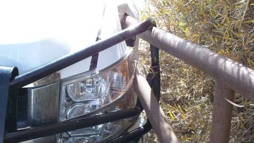 2pic20683.jpg