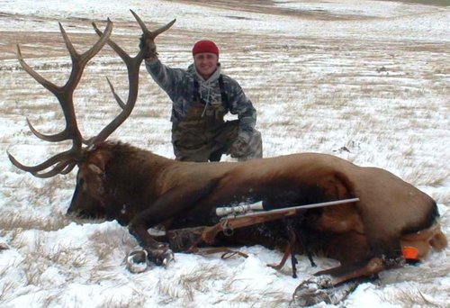 alex's 09 elk 018.jpg