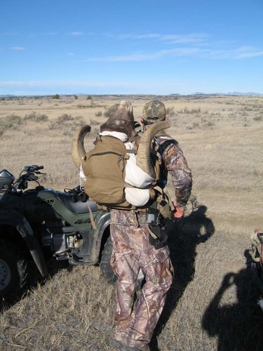 Sheep Hunting 030.jpg