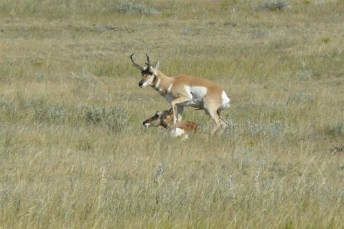 P1050139 (Large).jpg