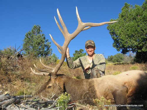 2005 AZ elk.JPG