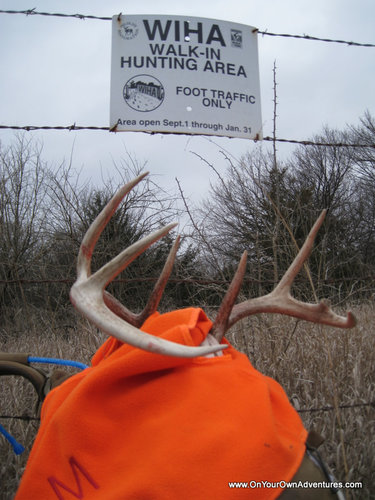 IMG_3369.JPG IMG_3369.JPG