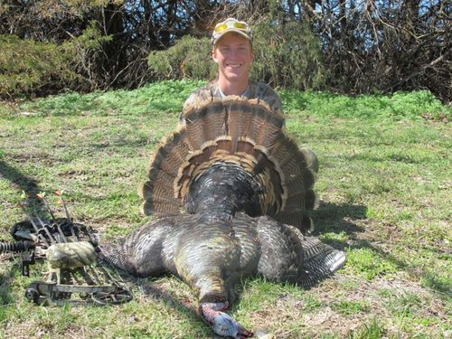 Saywer's turkey.jpg