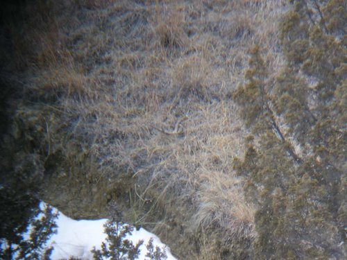 Shed hunt 2010 (4).jpg